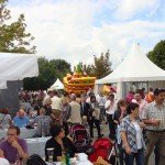 Harmonic Drive Sommerfest